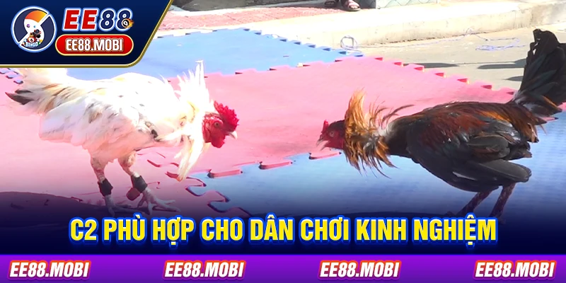 C2 phù hợp cho dân chơi kinh nghiệm