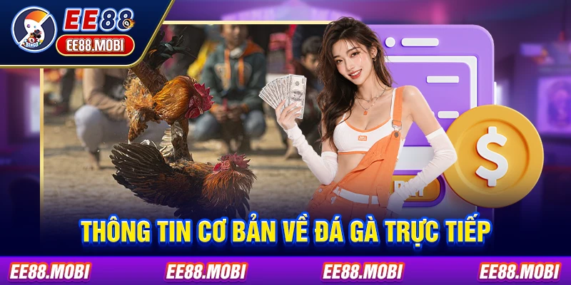 Thông tin cơ bản về đá gà trực tiếp